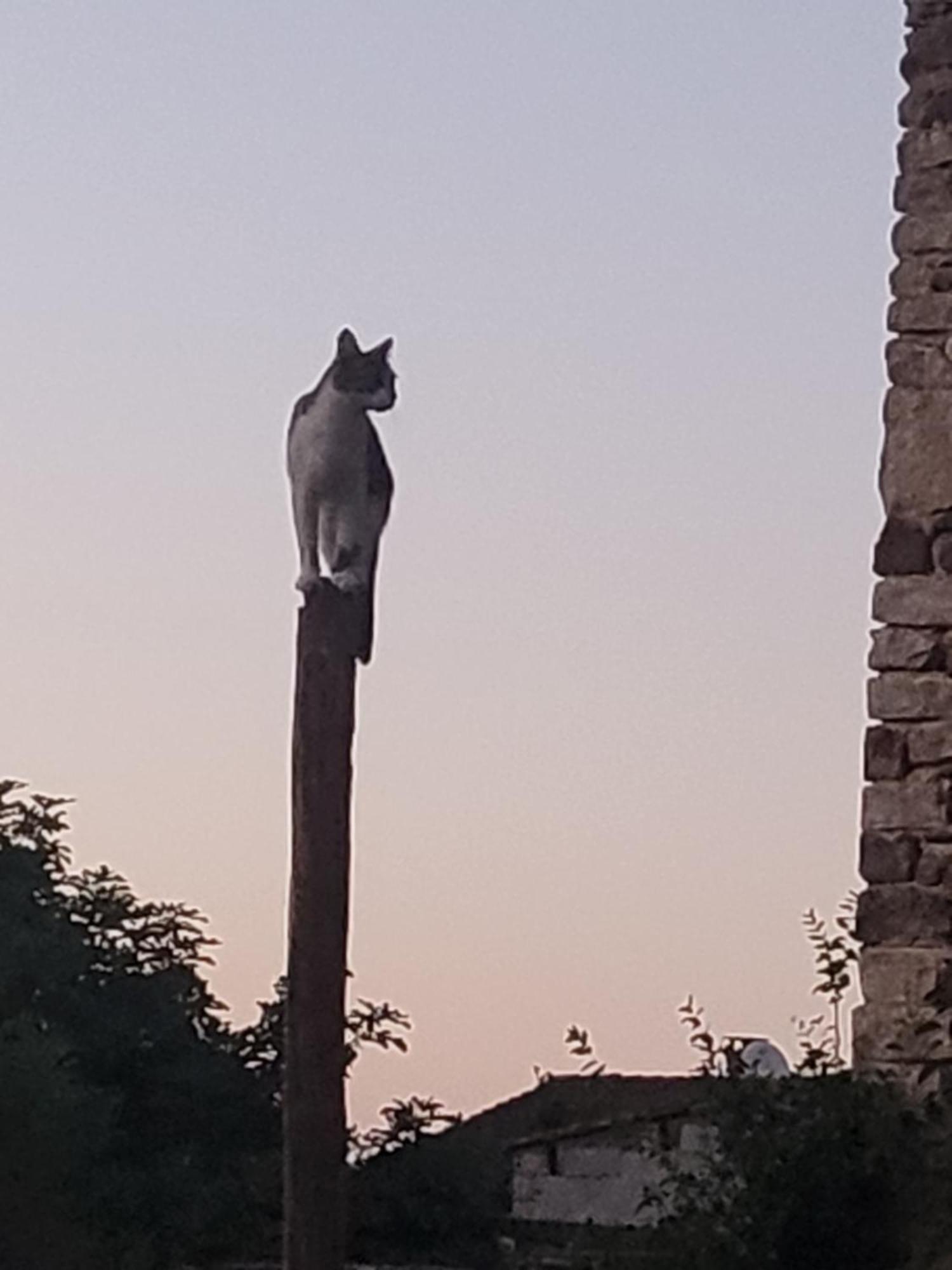 דירות גרואיסאן Zen מראה חיצוני תמונה