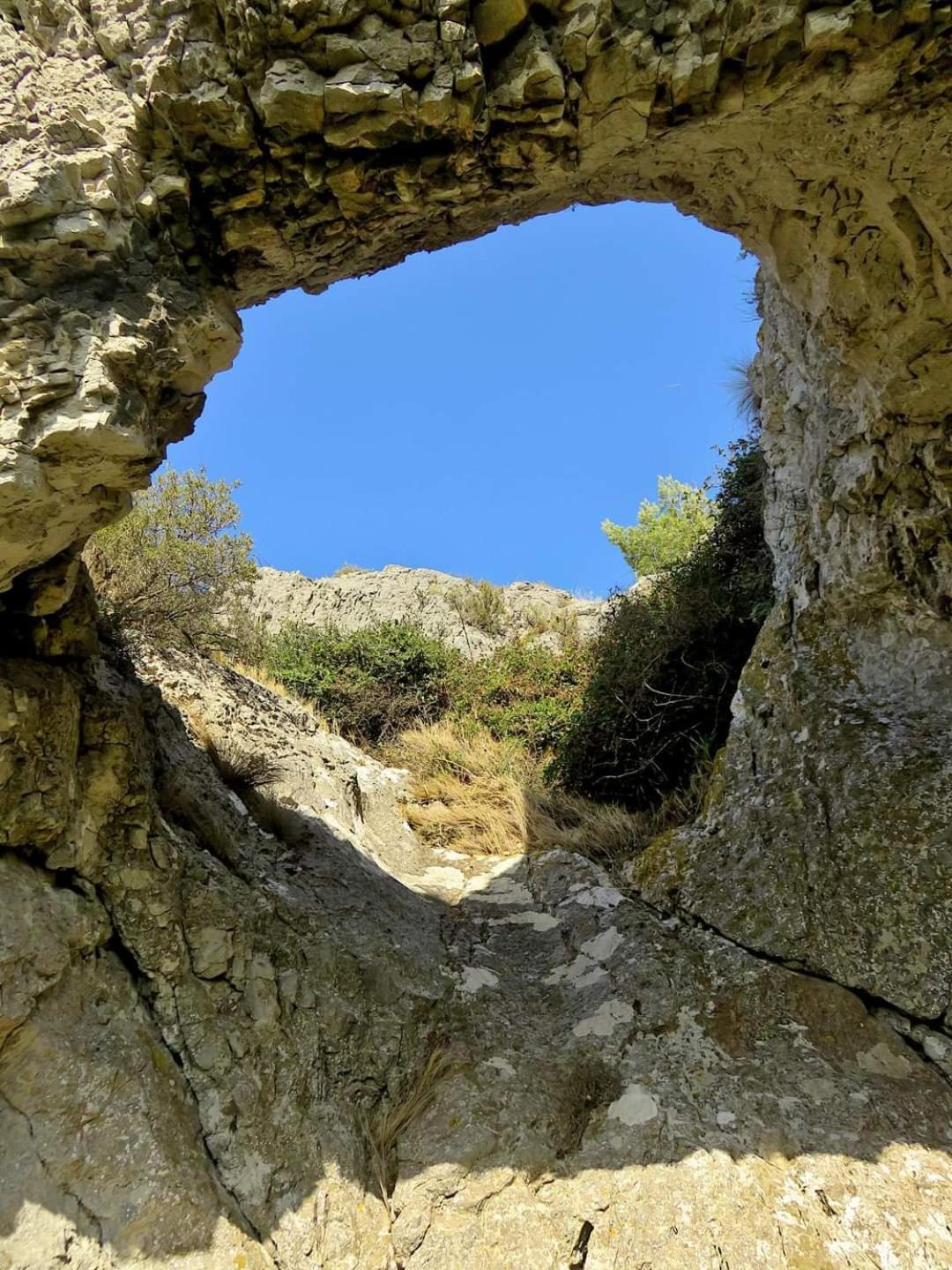 דירות גרואיסאן Zen מראה חיצוני תמונה